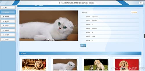 基于Vue與Flask的流浪動物管理系統的設計與實現